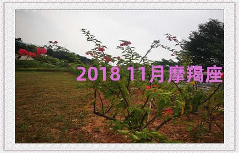 2018 11月摩羯座